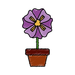 beautiful flower in a pot icon over white background colorful design vector illustration