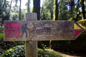 Walking Track in Sintra