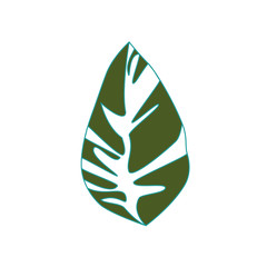 Leaf ecolgoy symbol icon vector illustration graphic design