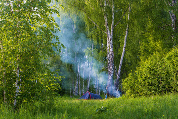 Parking tourists in the birch forest and blue smoke from a fire.