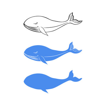 Blue whale cartoon funny illustration isolated on white background, vector graphic colorful doodle animal, Character design for greeting card, children invitation, baby shower, creation of alphabet