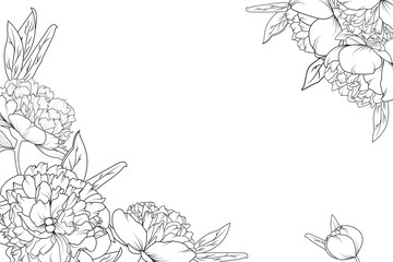Obraz premium Piwonia, róża kwiaty ogrodowe, czarno-biały szczegółowy rysunek szkicowy. Szablon elementu dekoracyjnego ramki narożnej. Poziomy układ poziomy. Projekt ilustracji wektorowych.