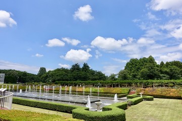 ６月の自然公園