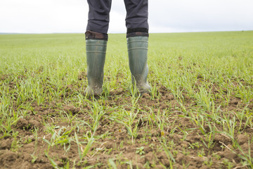 A spring field in Russia © grigorylugovoy