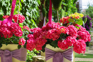 Details and elements of the street interior, many flowers and greenery