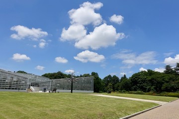 Fototapeta premium ６月の自然公園