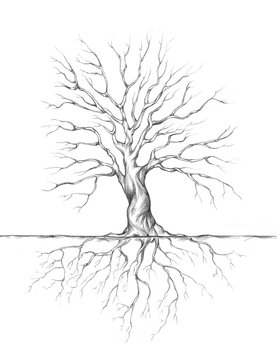 Baum mit Wurzeln