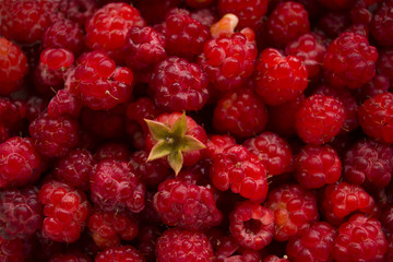background of raspberry