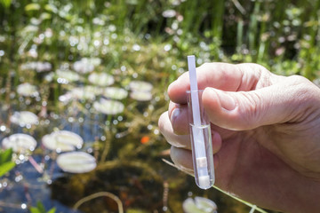 PH-Wert Analyse des Wassers im Reagenzglas