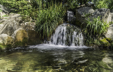 Fototapeta na wymiar Waterfall in forest. Landscape