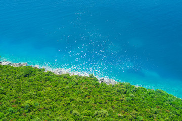 Fototapeta na wymiar Green forest near the sea, top view