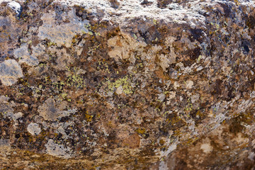 Surface of the granite rock covered with lichen