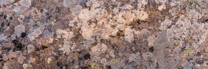 Surface of the granite rock covered with lichen