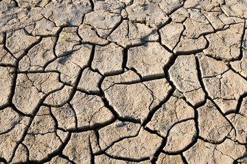drought cracked earth