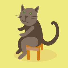 Cat sitting on stool