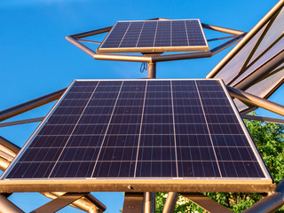 Obraz premium Renewable Energy conception, SOLAR-CELL Tree.