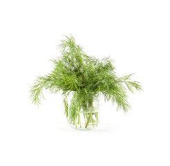 Fresh green dill