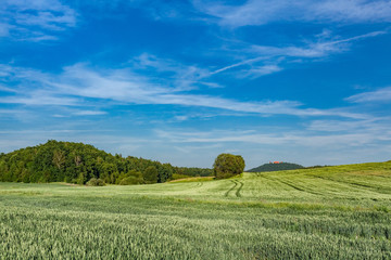 field1