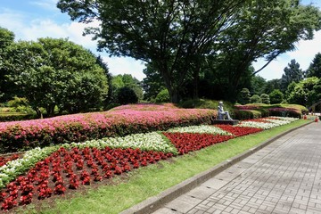 ６月の自然公園