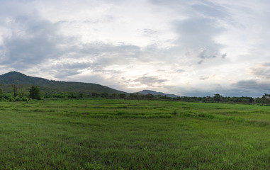 Meadow and mountain view in the evening