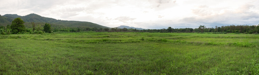 Fototapeta na wymiar Meadow and mountain view in the evening. (Panorama view)