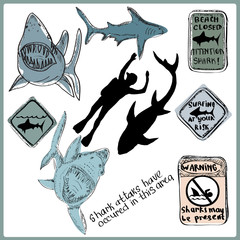 Hand drawn vector illustration. Sharks, divers
