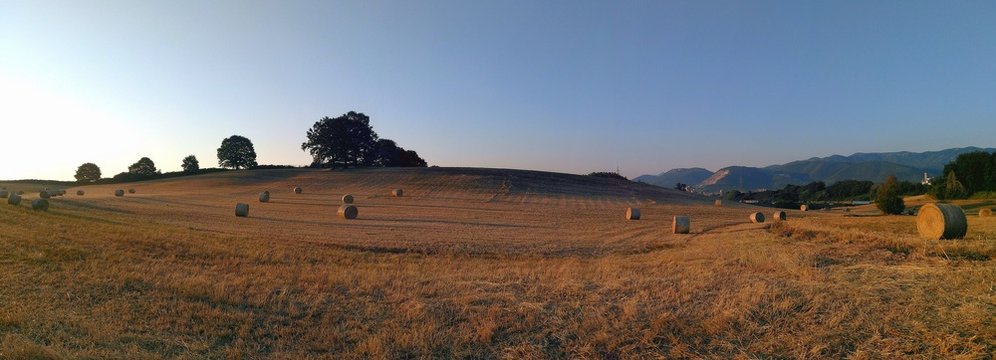 Campagna laziale nei pressi di Colleferro all'alba - Roma - Lazio - Italia