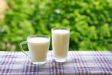 Glass and a cup of milk on a natural background