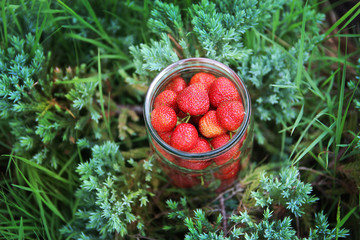 Red strawberry in a jar 