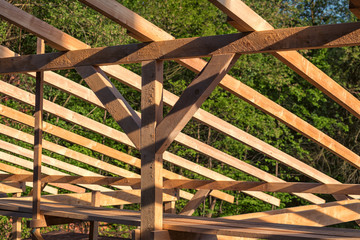 Timber-Frame Roof Structure