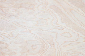 Closeup surface abstract wood pattern at the old wood wall textured background