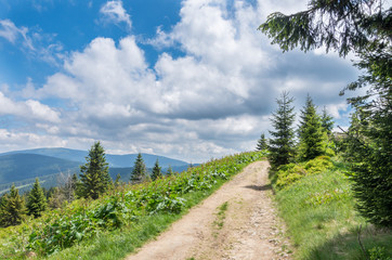 Hala Bieguńska