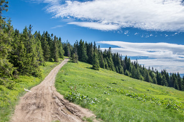 Beskidy 2 © Rafal Lechowicz