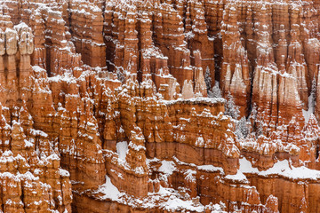 Giant Hoodoos and pine trees on cliff face, covered with new snow in Bryce Canyon National Park, Utah.
