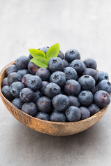 Fresh blueberries natural coconut in a bowl on a gray background.