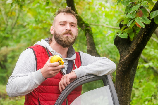 Bearded man in a red vest with apple
