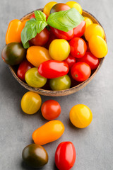 Tomatoes on the gray background. Colorful tomatoes, red tomatoes, yellow tomatoes, orange tomatoes, green tomatoes. Colour tomatoes on the gray background.