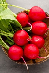 Radish fresh, on the gray background.