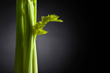 Fototapeta na wymiar Fresh celery sticks