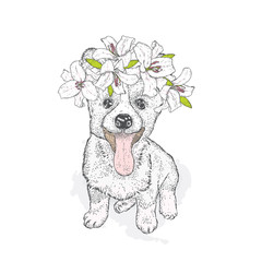 A cute puppy in a wreath of lilies. Vector illustration for a postcard or a poster, print for clothes. Pedigree dog.