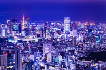 東京の夜景