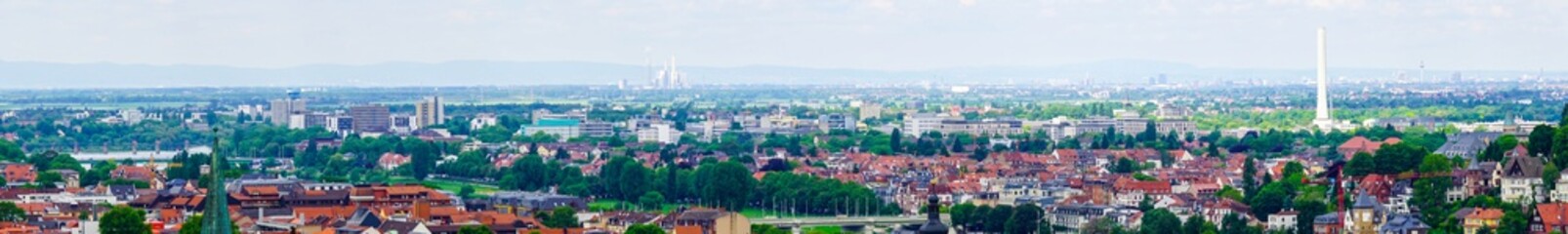 Blick über Heidelberg