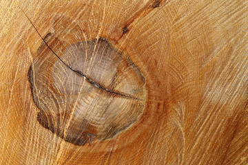 Wooden texture with knot