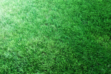 草原を見下ろす