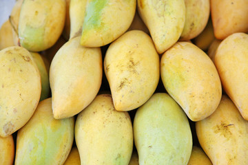 Mango honey sweet yellow species of Thailand.