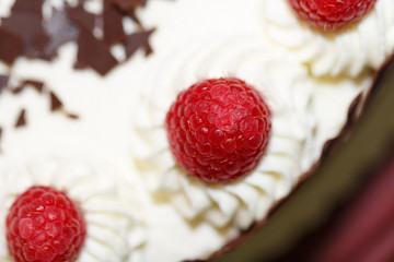 Schokoladen Himbeer Kuchen und Schlagsahne, close-up, low focus