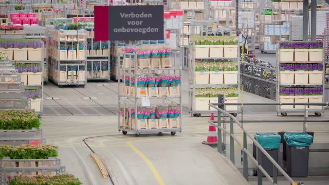 876_Flower_trains_moving_forward_inside_the_warehouse.mov