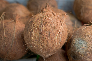 Coconuts for sale on market. Group of small whole fresh brown. Agriculture background. Top view. Close-up