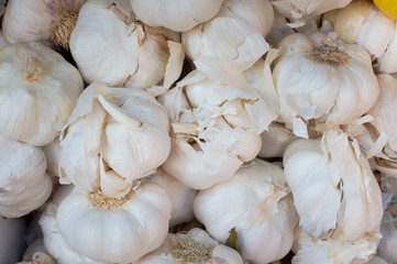 Garlic background. Garlic for sale on market. Agriculture background. Close-up. Top view