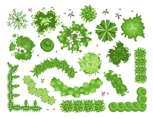 Set of different green trees, shrubs, hedges. Top view for landscape design projects. Vector illustration, isolated on white background.